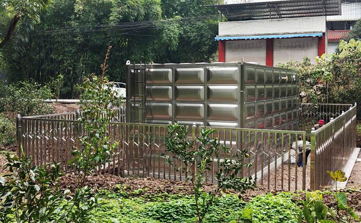 1750834896356691.jpg 303.jpg